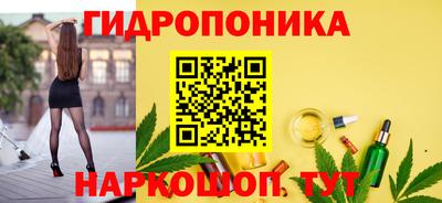 молекула духа Будённовск