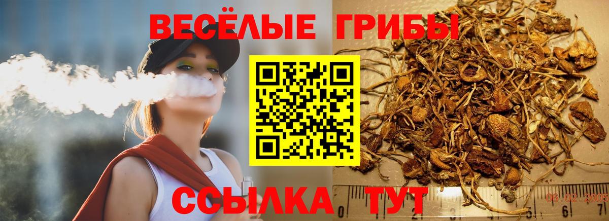 Ртищево  Псилоцибиновые грибы Magic Shrooms  Вход с VPN 